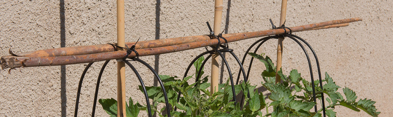 cable ties for outdoor use